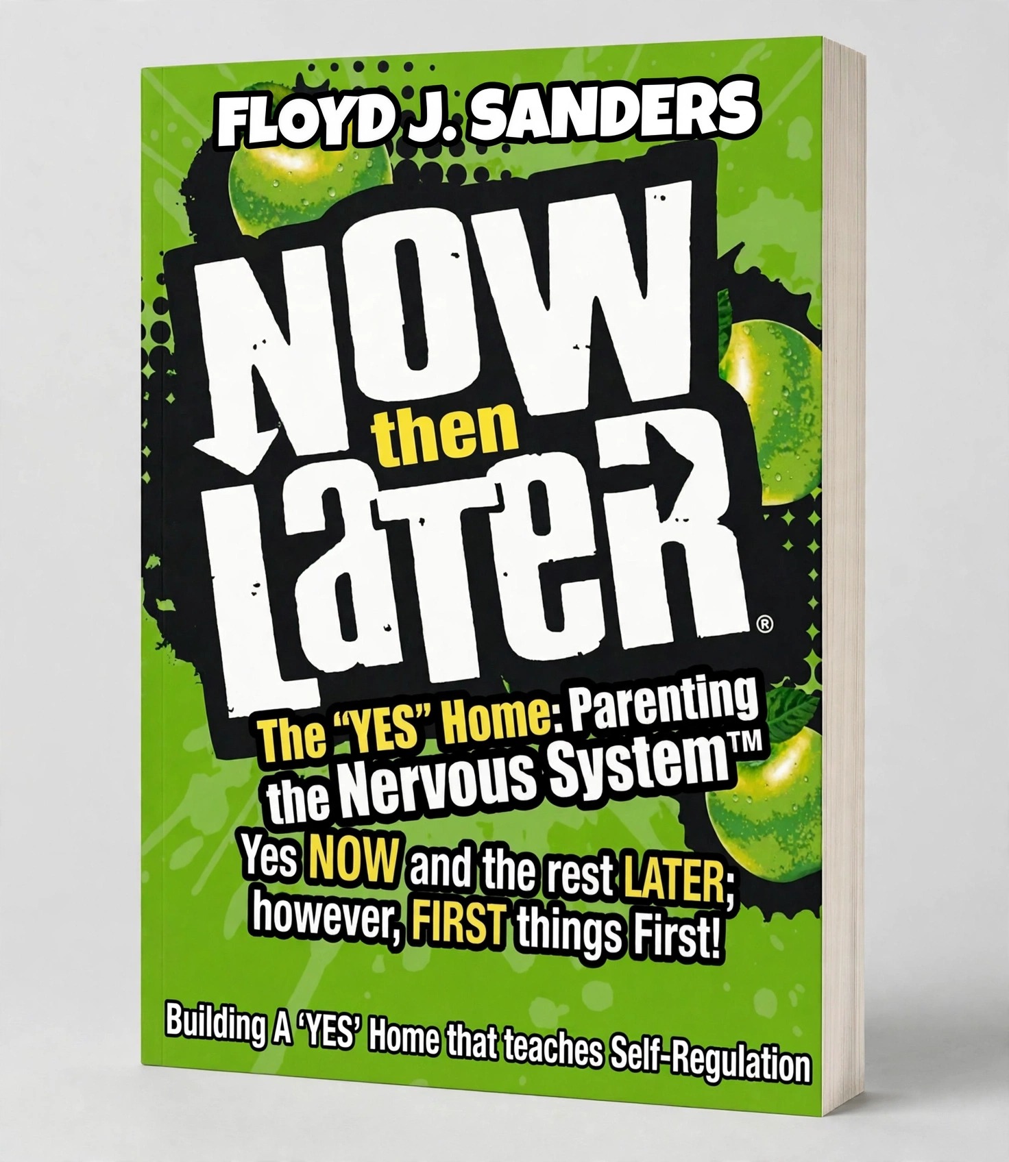 3D paperback mockup of NOW then LATER: The 'YES' Home by Floyd J. Sanders